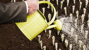 We are scaling our #IoT platform into new markets, building on significant recent momentum as we begin the new financial year